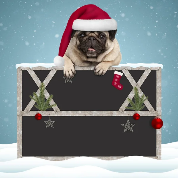Encantador perro cachorro de pug de Navidad colgando con las patas en blanco letrero de pizarra con marco de madera y decoración — Foto de Stock