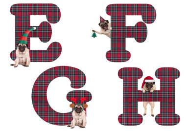 E F G H sevimli Noel pug köpek yavrusu köpek alfabesi harfleri