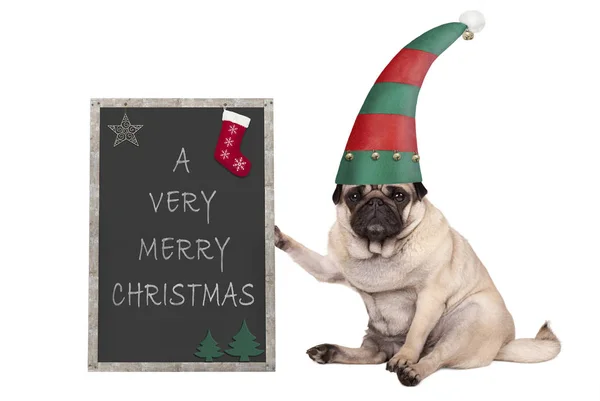Perro Cachorro Navidad Sentado Sosteniendo Blackboardl Usando Sombrero Elfo Aislado — Foto de Stock