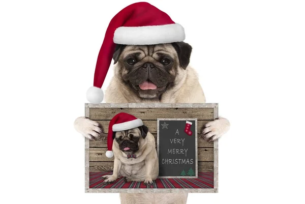 Lindo Perro Pug Navidad Sonriente Con Sombrero Santa Sosteniendo Tarjeta — Foto de Stock