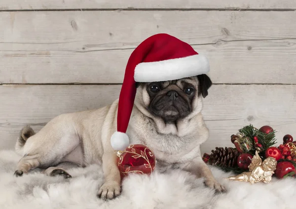 Encantador Perrito Navidad Cachorro Acostado Manta Piel Oveja Con Adornos — Foto de Stock