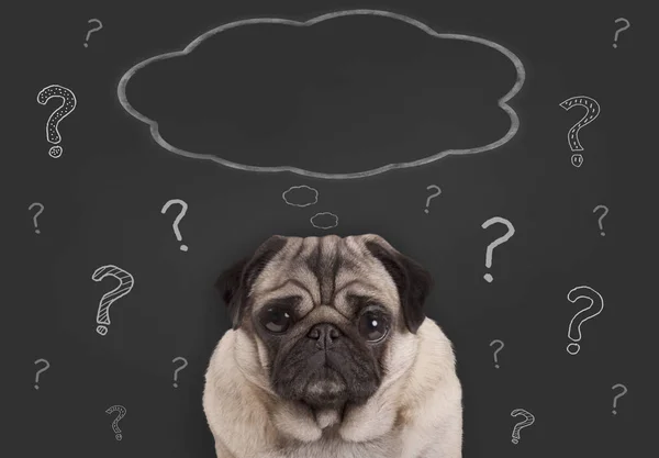 Tebeşir soru işaretleri ve boş düşünce balonu el ile yazı tahtası işareti önünde oturan köpek pug yavrusu closeup çizilmiş