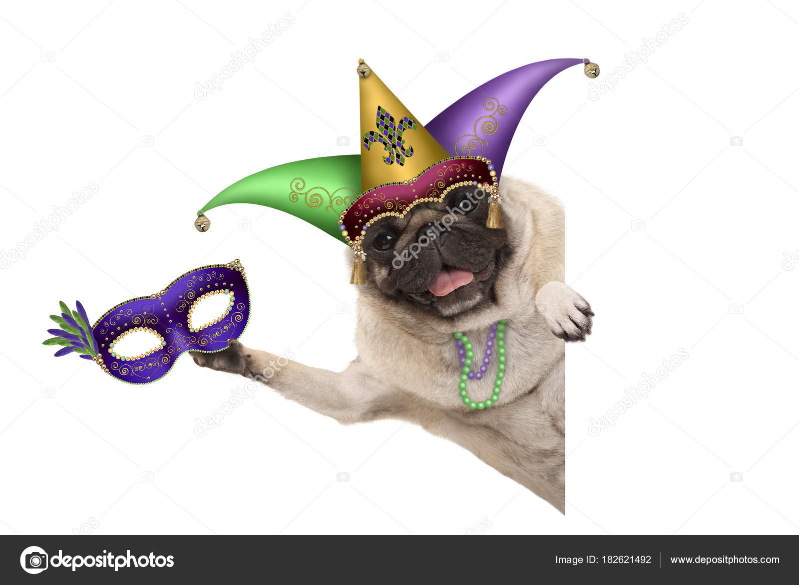 Mardi Gras Mops Hund Mit Karnevalsmütze Venezianischer Maske