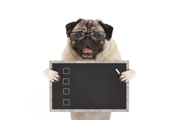 onay kutuları tebeşir, beyaz arka plan üzerinde izole ile çizilmiş yazı tahtası üzerinde boş denetim listesi gidiyor şirin erkek pug köpek yavrusu