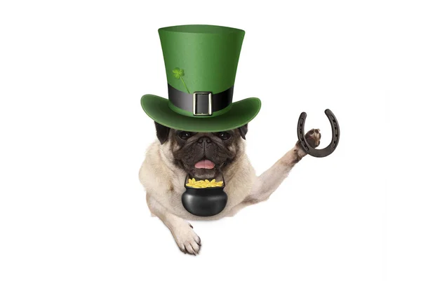 Patricks Day Pug Puppy Dog Green Leprechaun Hat Holding Horseshoe — Stock Photo, Image