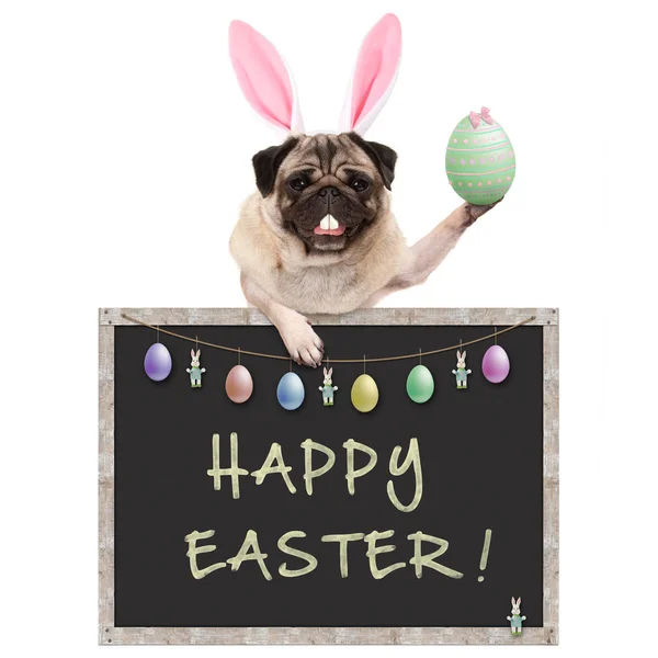 Cute Pug Puppy Dog Bunny Ears Diadem Holding Easter Egg — Stock Photo, Image