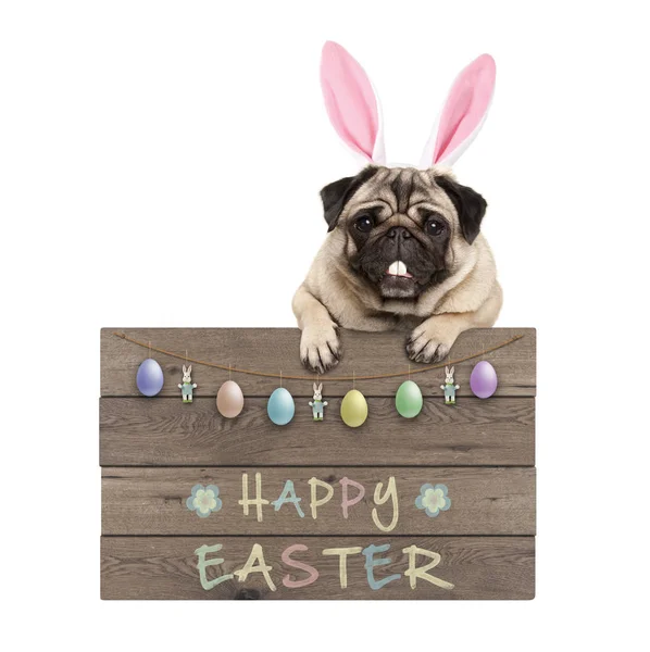 Easter Bunny Pug Dog Hanging Wooden Sign Text Happy Easter — Stock Photo, Image