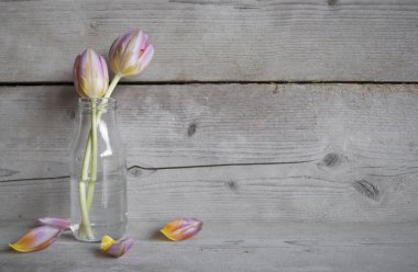 Yaprakları eski ahşap zemin üzerine cam şişe içinde Pembe Laleler