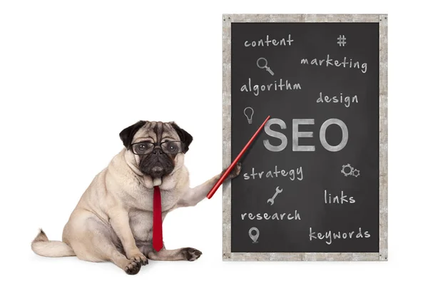 iş pug köpek arama motoru optimizasyonu, Seo, performans stratejimi gösteren kırmızı göstergesiyle tutan el üzerinde çizilmiş yazı tahtası beyaz arka plan üzerinde izole,