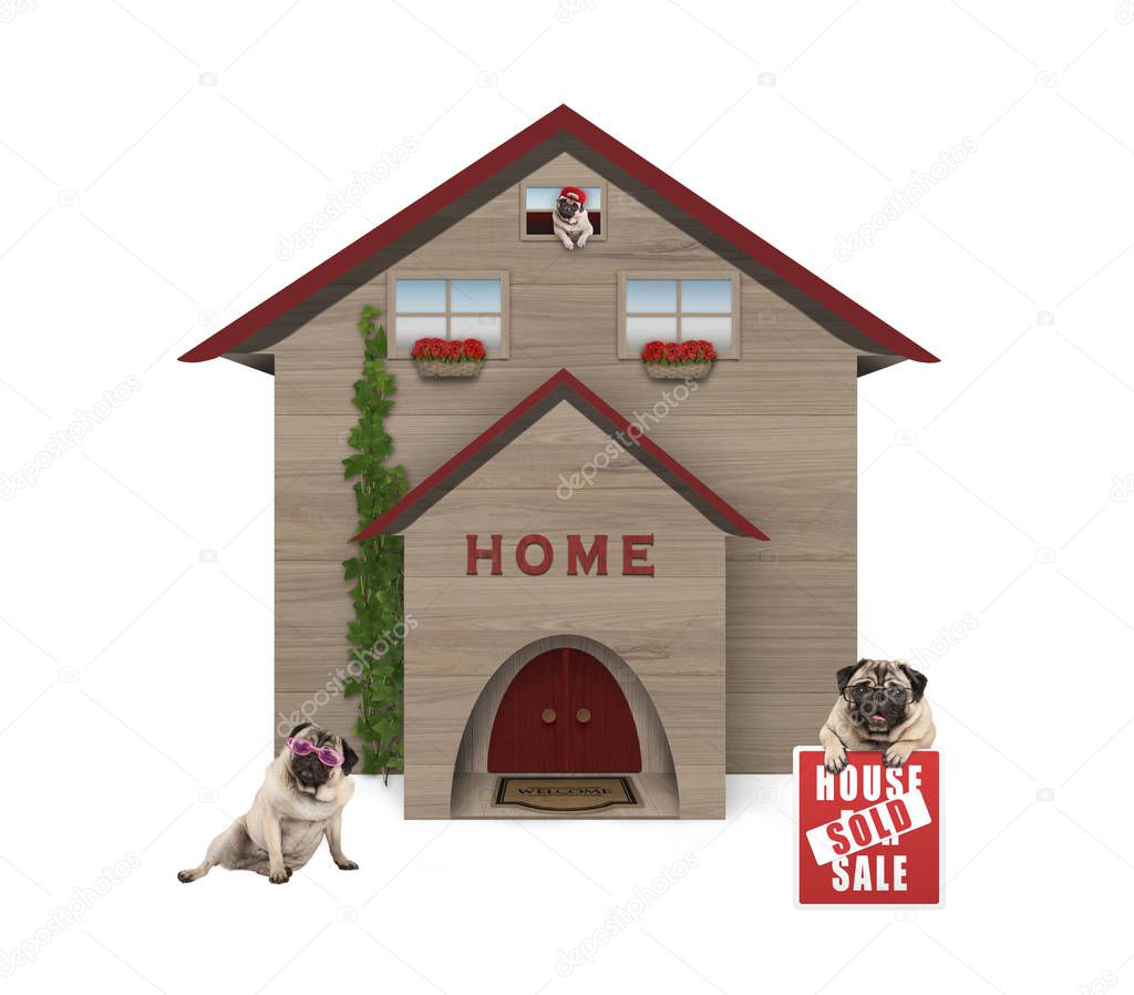 average middle class pug dog familiy, sitting down in garden with house sold sign at new home, isolated on white background