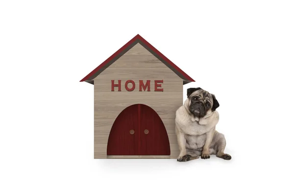 Brutale Pug Puppy Hondje Zitten Naast Hondenhuis Met Teken Home — Stockfoto