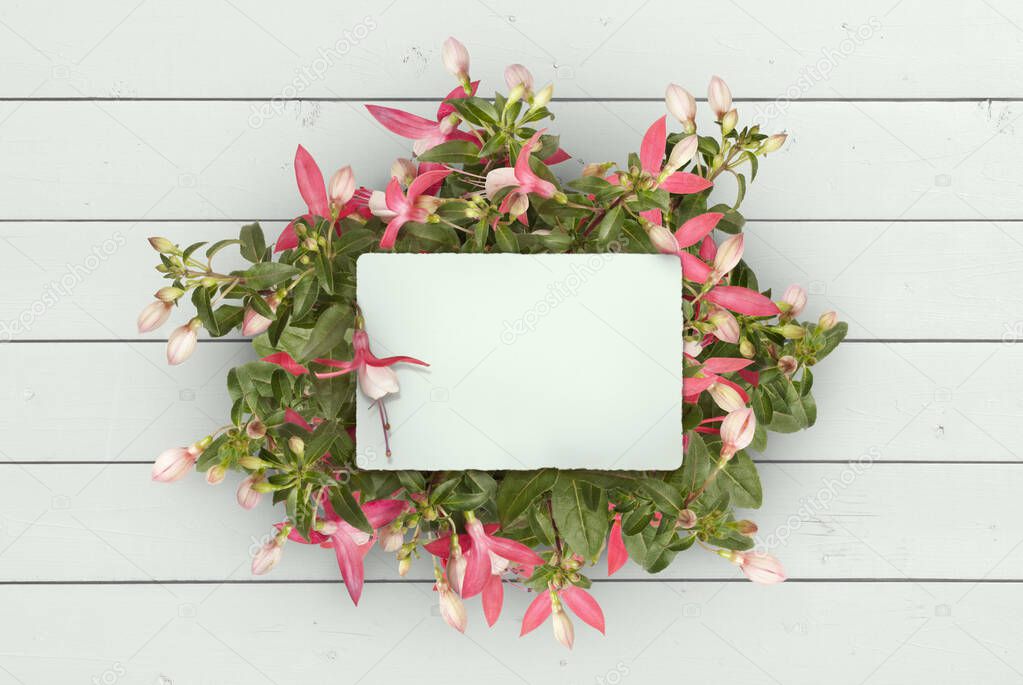 mockup flat lay of blank paper card in pink fuchsia plug plant, on mint green wooden planks background