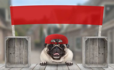 Gülen, gülen, şapkalı, boş kırmızı afişi olan, sokak pazarında satış yapan bir köpek yavrusu.