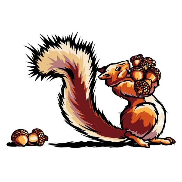 Sincap fındık taşıma