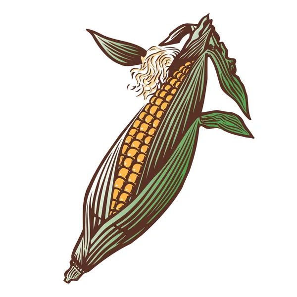 ᐈ Corn husk cartoon stock vectors, Royalty Free corn husk illustrations