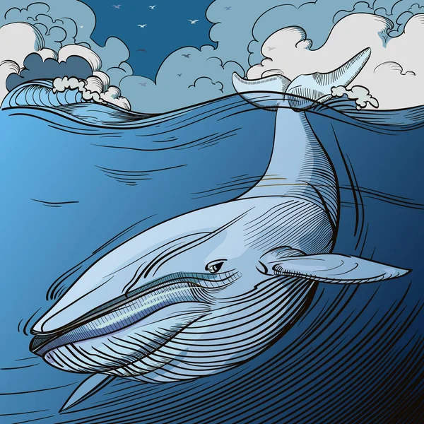 Mergulho Baleia Azul —  Vetores de Stock