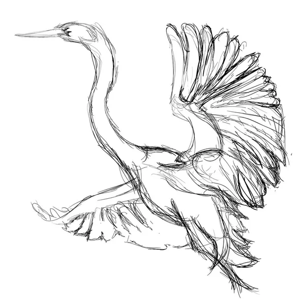 Egret tomando vuelo — Vector de stock