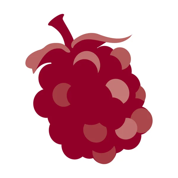 Boysenberry, 허클베리 과일 . — 스톡 벡터