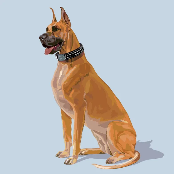 Boxerhund sitzend — Stockvektor