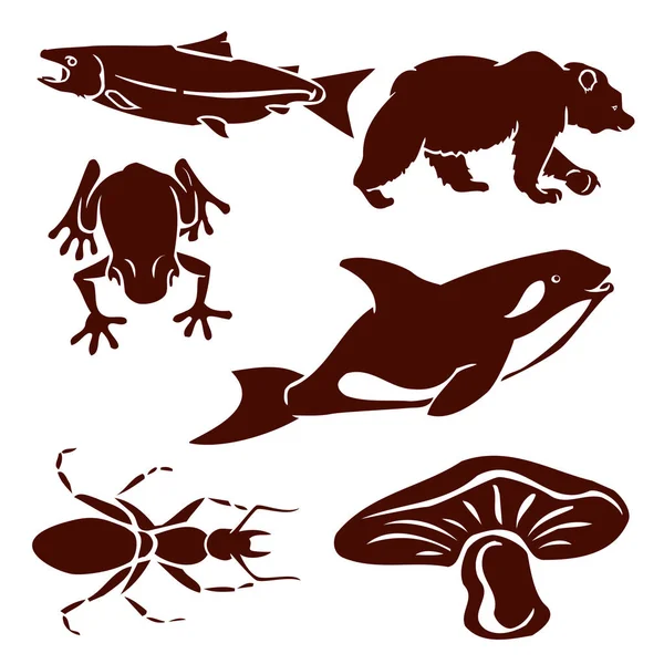 West coast wildlife — Stock Vector