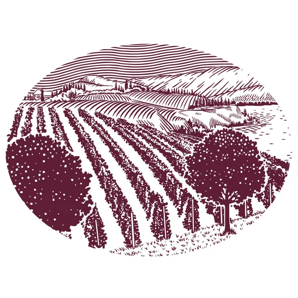 Сценическая линия виноградников — стоковый вектор