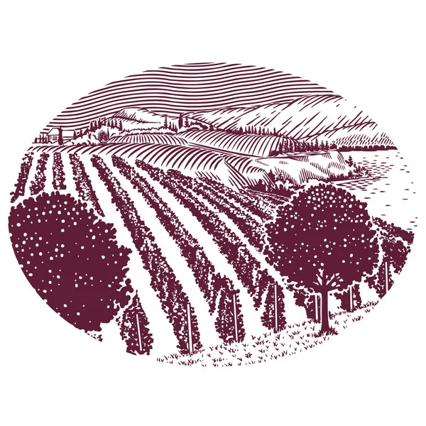 Illustration de ligne de vignoble scénique — Image vectorielle