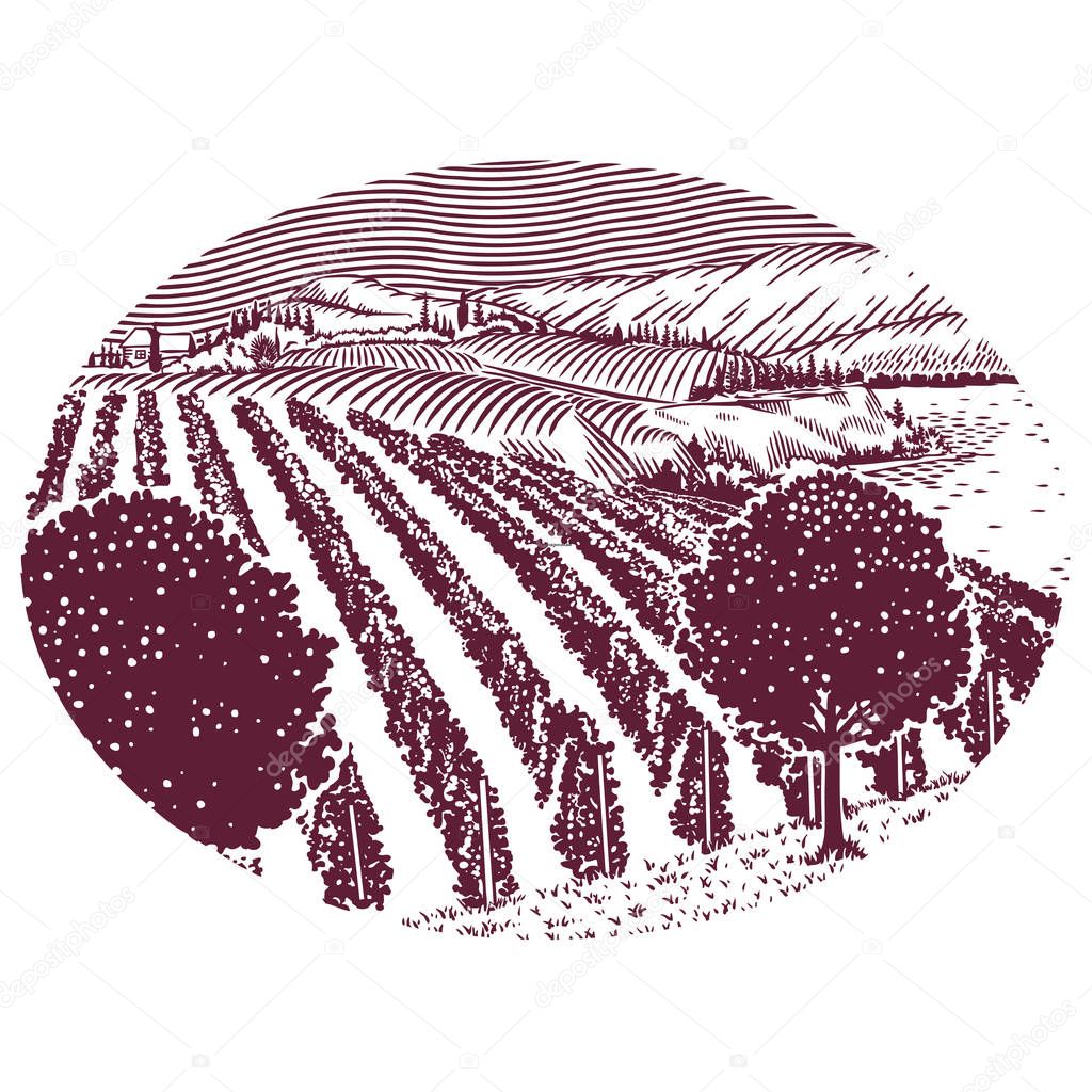 Sceneic Vineyard Line Illustratiion