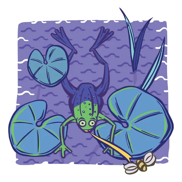 Rana, insecto, almohadillas de lirio — Archivo Imágenes Vectoriales