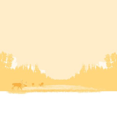 Ren geyiği otlatma manzara