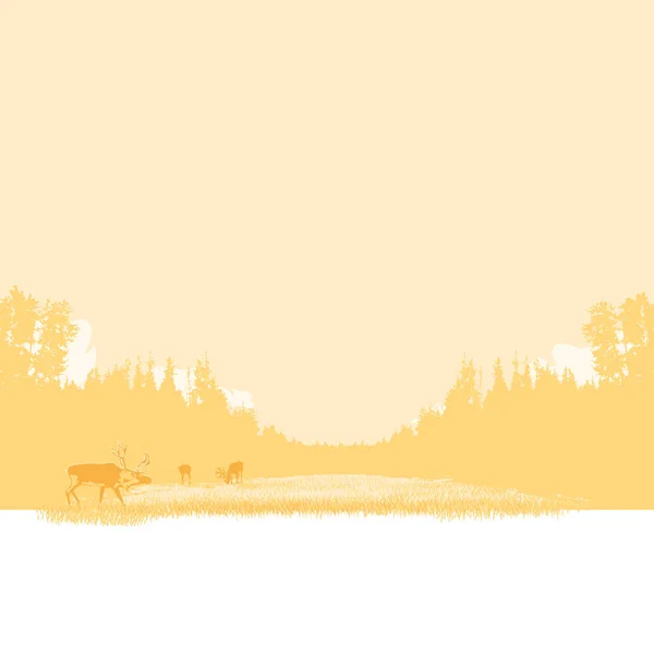 Ren geyiği otlatma manzara