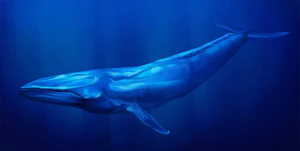 青いクジラが水中で — ストック写真