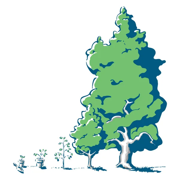 나무 성장 단계 — 스톡 벡터