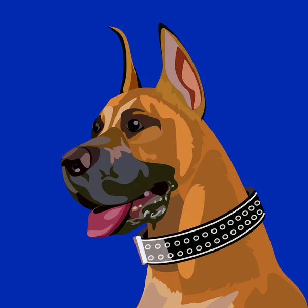 Boxer Hond hoofd — Stockvector