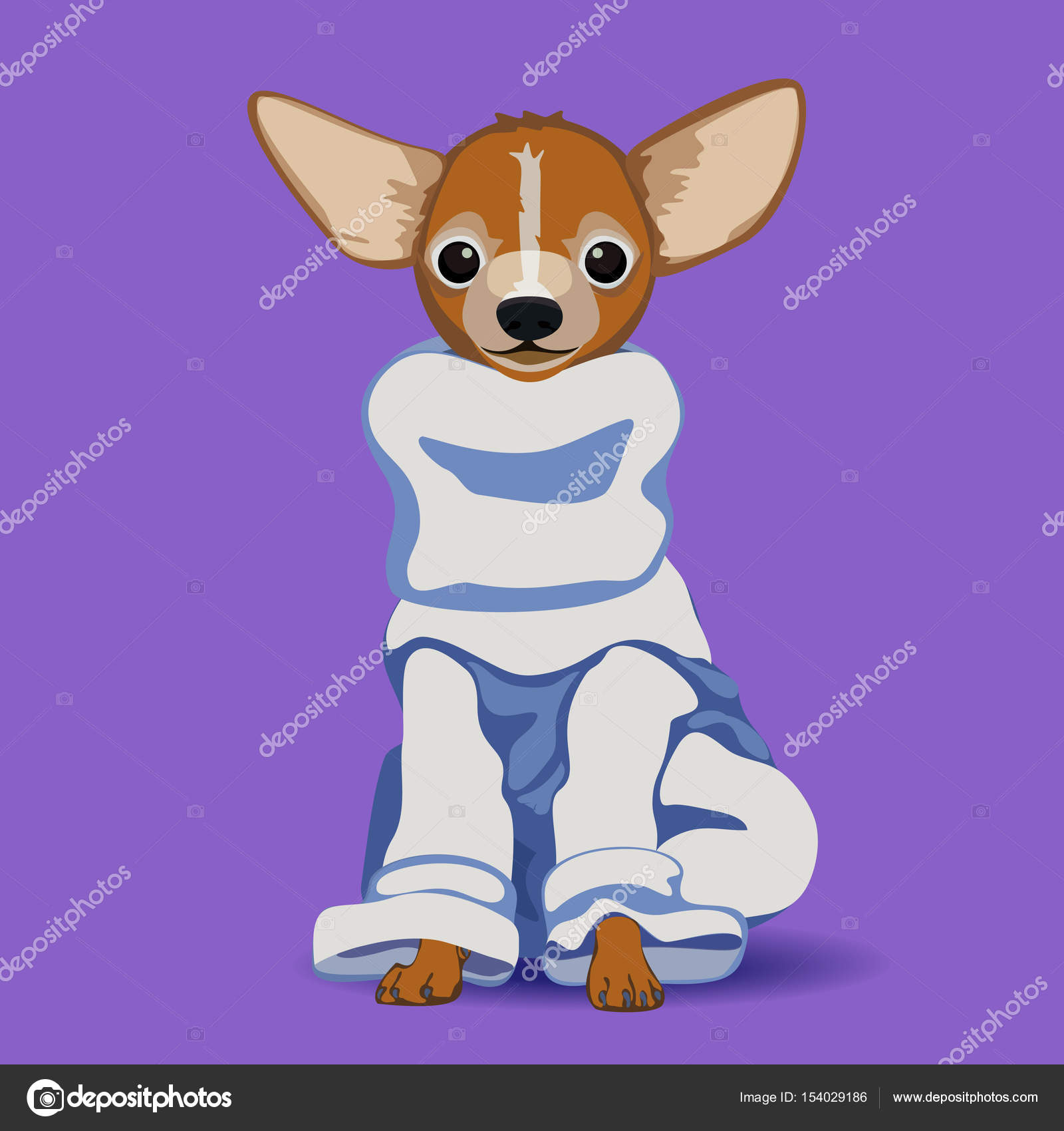 Alto Collo Chihuahua Cane Alto Cane Chihuahua Collo Bwf4cYq