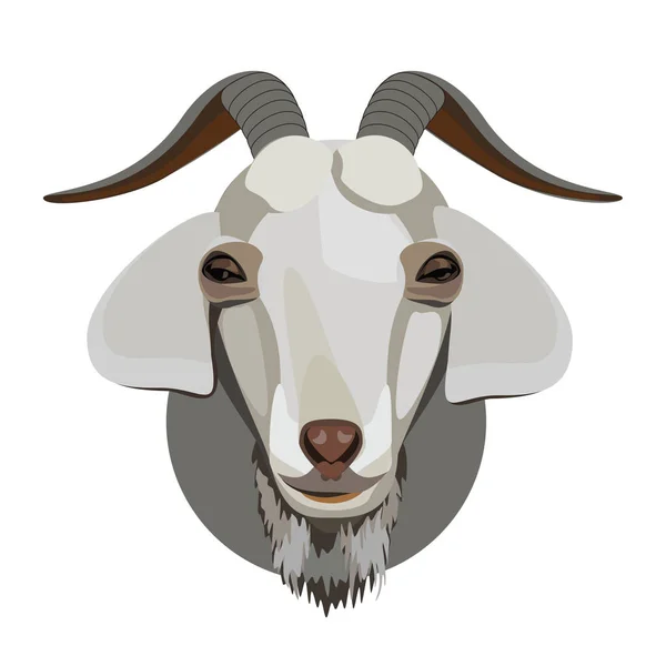 Cabeça de cabra macho — Vetor de Stock