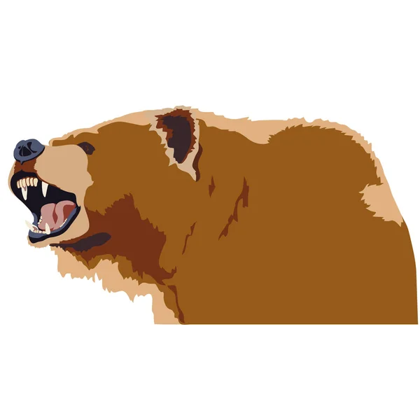 Cabeza de oso pardo — Vector de stock