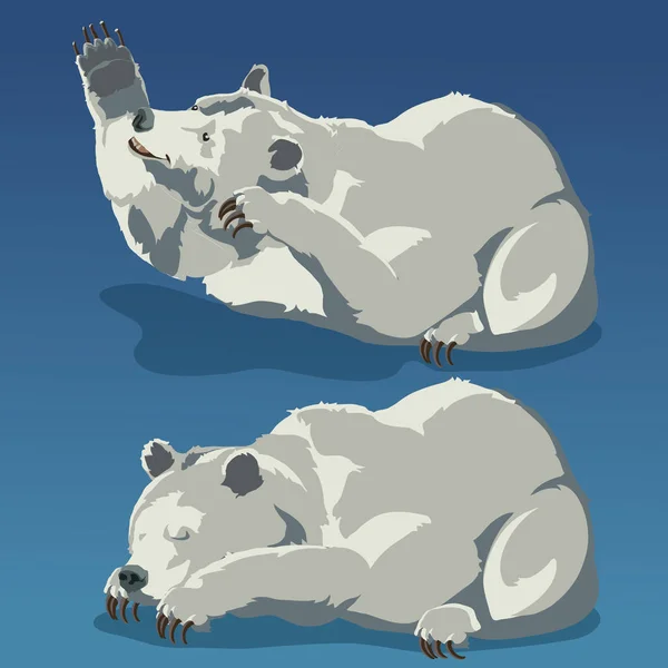 Oso polar durmiendo — Vector de stock