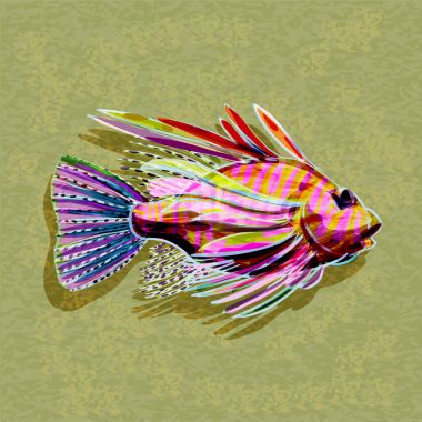 renkli tropikal balık