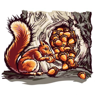 Sincap fındık depolama