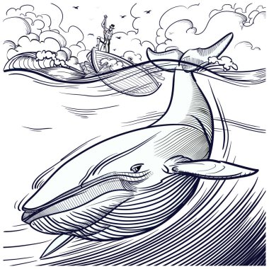 Blue whale being hunted by old time whalers book style line illustration clipart