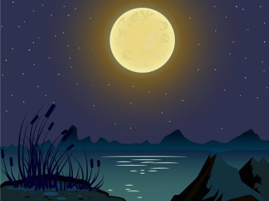  Vektör yaz manzara. Gece manzarası.