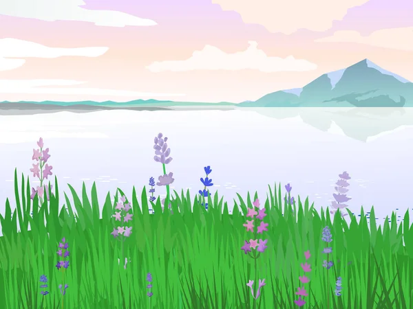 Paisaje vectorial de verano. prado con flores . — Vector de stock