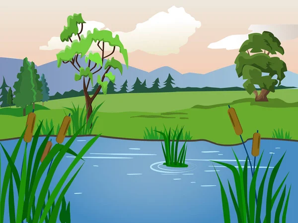 夏日风景。芦苇的湖。天气晴朗的时候. — 图库矢量图片