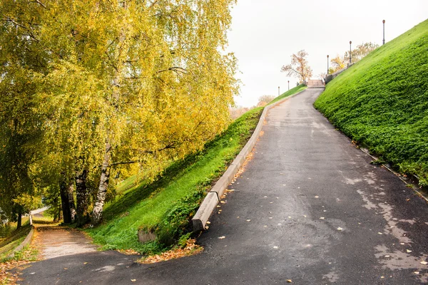 Parktaki yol. Rusya Novgorod