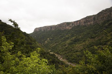 Oribi Gorge Vadisi