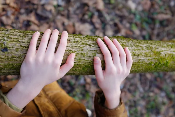 Ребенок положил руки на ствол мшистого дерева . — стоковое фото
