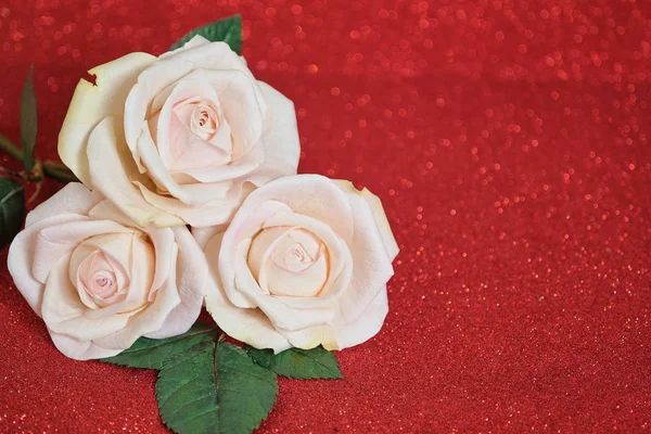 Biglietto di San Valentino con tre rose beige su sfondo boke rosso. Copyspace - Concetto di amore e giorno del matrimonio — Foto Stock