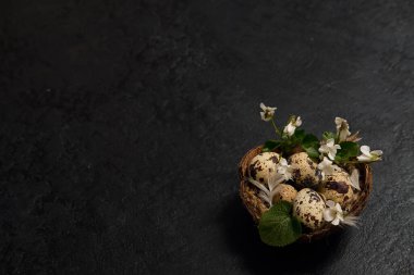 Paskalya kompozisyonu. Yuvadaki yumurtalar ve siyah arka plandaki küçük çiçekler.