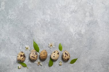 Bıldırcın yumurtası desenleri ve gri arka planda yeşil yapraklar. Paskalya bileşimi