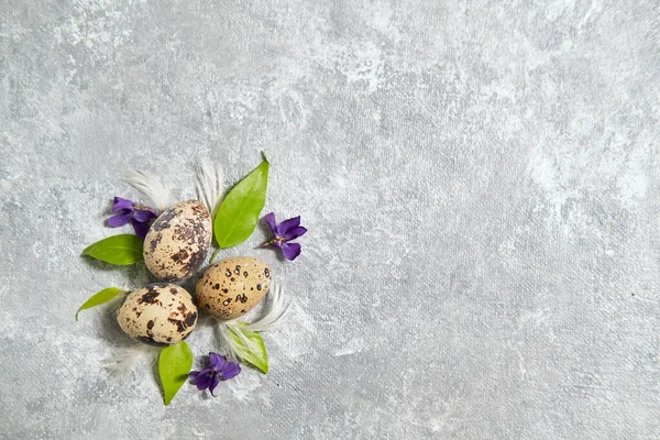 quail eggs pattern and green leaves on a gray background.